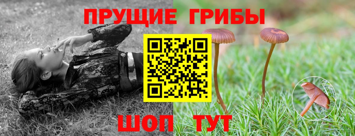 Галлюциногенные грибы Magic Shrooms Волоколамск