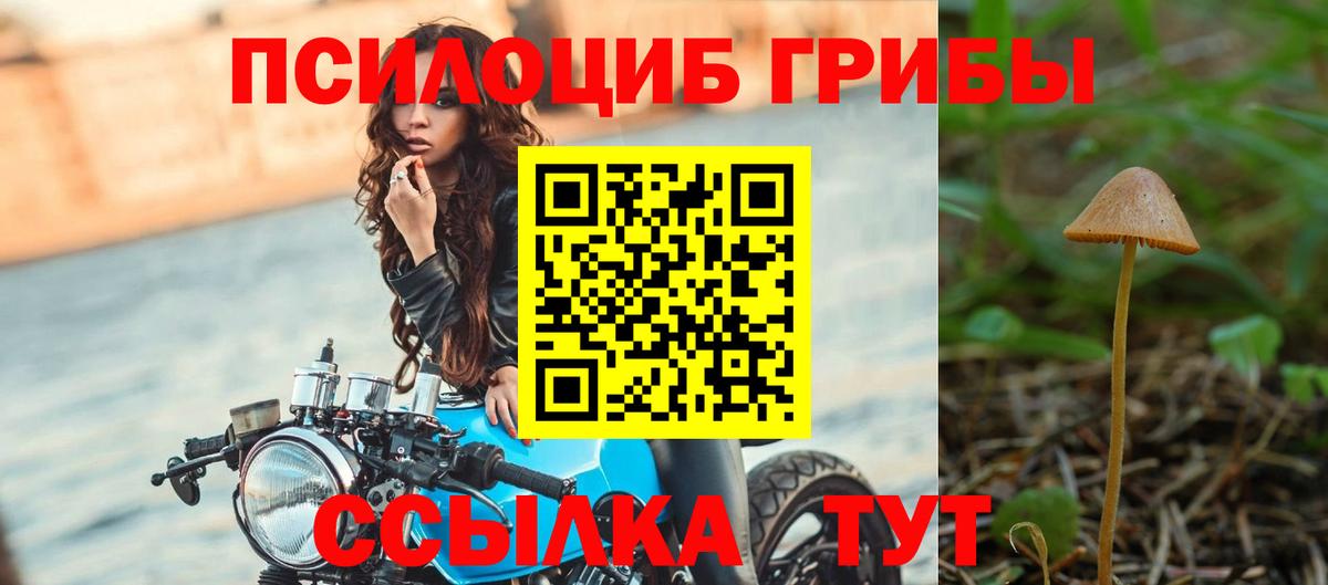 Волоколамск  что такое   Галлюциногенные грибы Cubensis  Вход с VPN  Псилоцибиновые грибы Psilocybine cubensis 